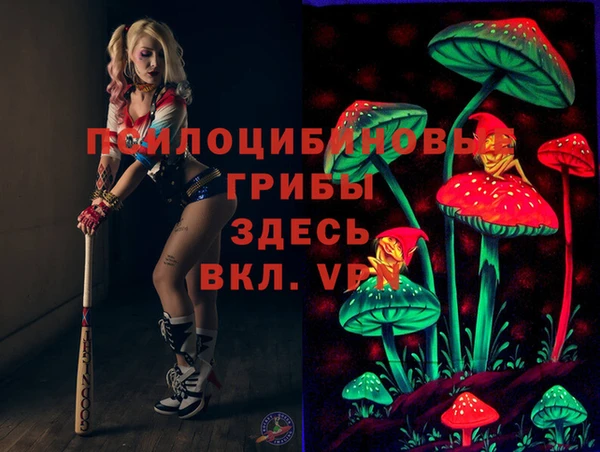 скорость Козельск