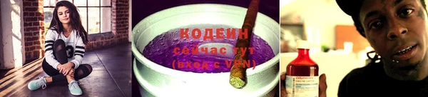 СК Кодинск
