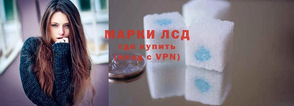 прущие грибы Корсаков