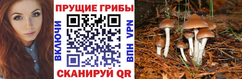 Галлюциногенные грибы ЛСД кракен зеркало Мезень